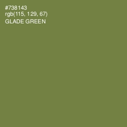 #738143 - Glade Green Color Image
